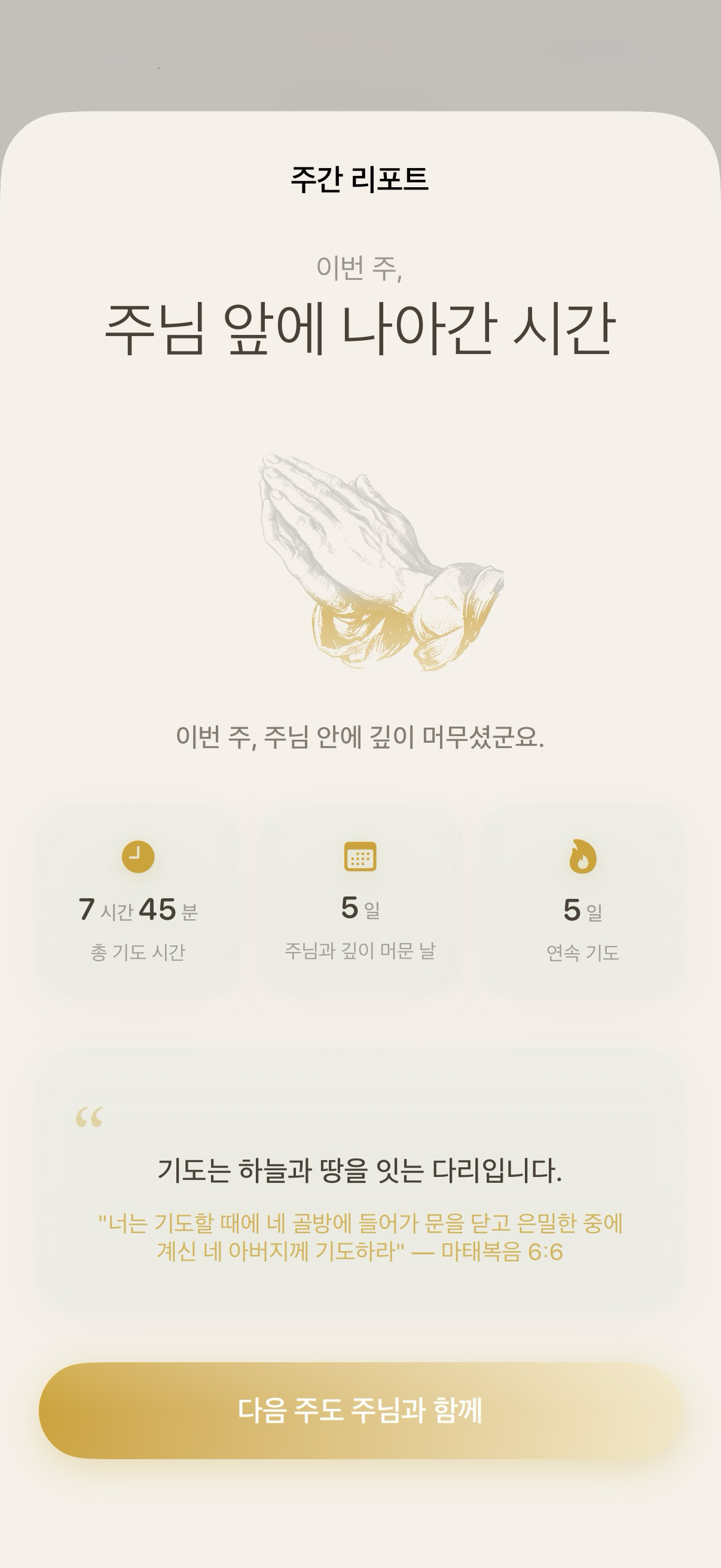 주간 리포트